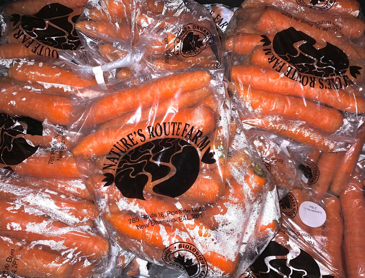 Nature Root's Farm - Carrots