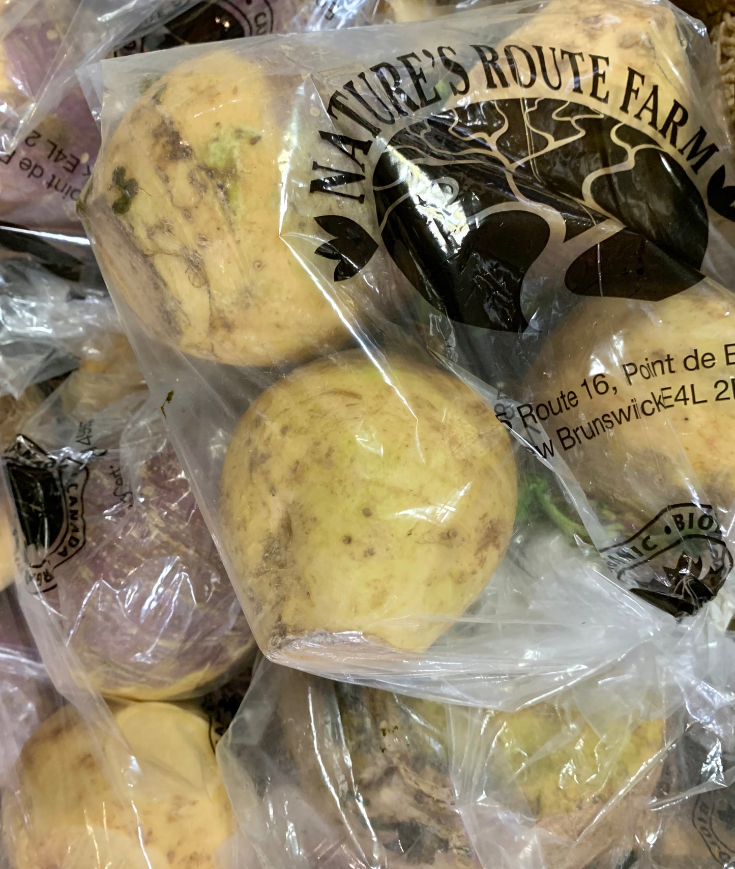 Nature Root's Farm - Turnips