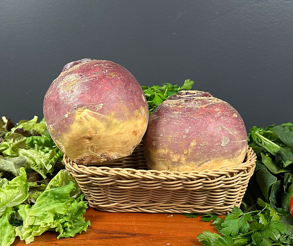 Le Digues - Turnip