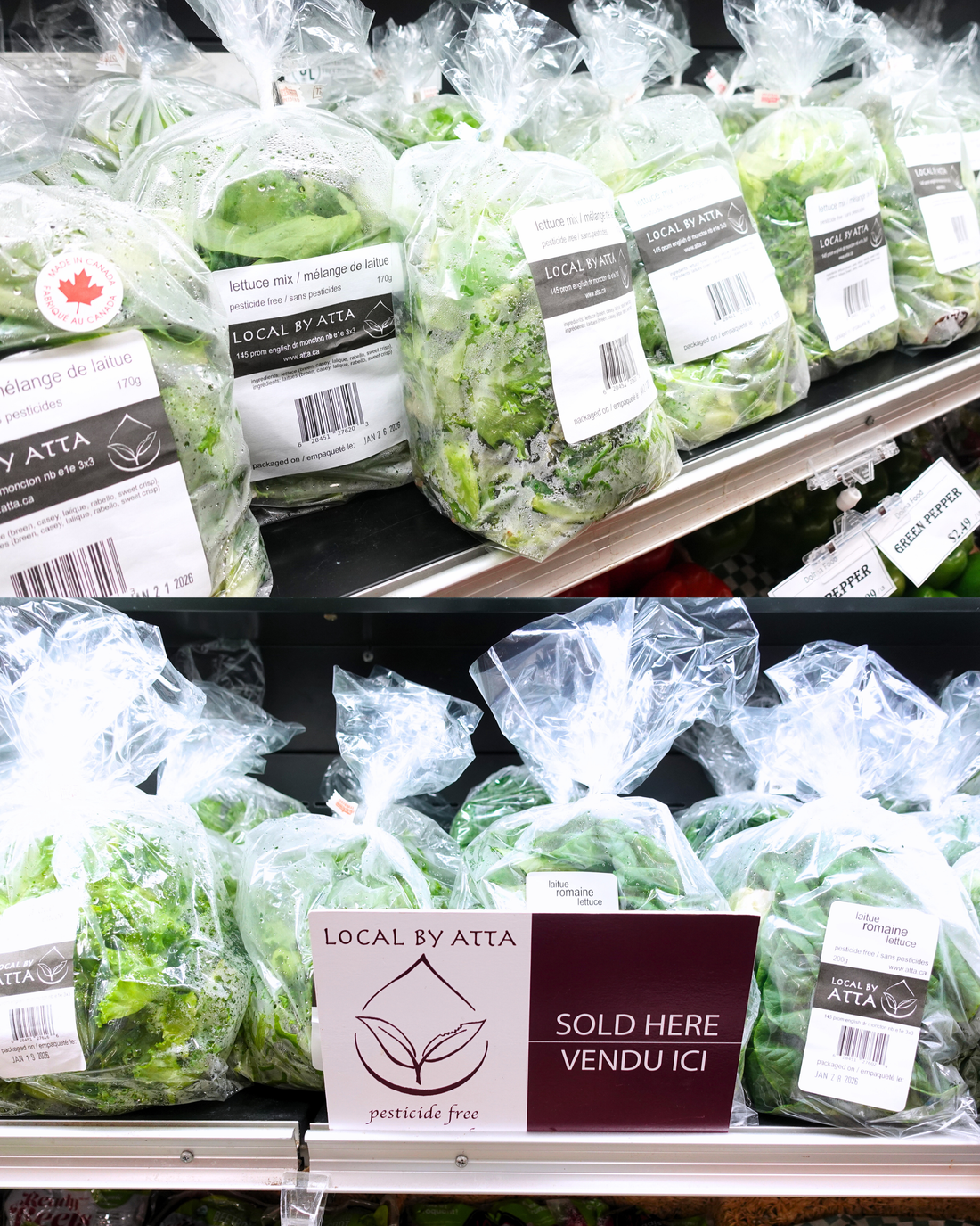 Let's Go Local - Local By Atta