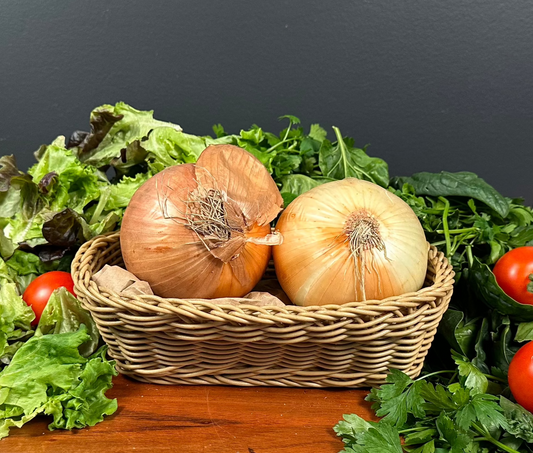 Spanish Onion